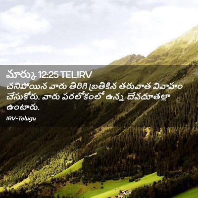 Picture 02 - మార్కు 12:25 TELIRV - చనిపోయిన వారు - Bible Verse Picture