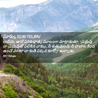 Picture 02 - మార్కు 12:36 TELIRV - దావీదు, తానే - Bible Verse Picture