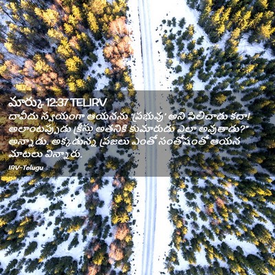 Picture 02 - మార్కు 12:37 TELIRV - దావీదు స్వయంగా - Bible Verse Picture