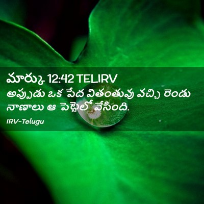 Picture 02 - మార్కు 12:42 TELIRV - అప్పుడు ఒక పేద - Bible Verse Picture