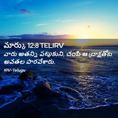 Picture 02 - మార్కు 12:8 TELIRV - వారు అతన్ని - Bible Verse Picture