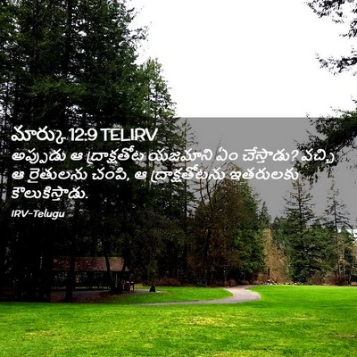 Picture 02 - మార్కు 12:9 TELIRV - అప్పుడు ఆ - Bible Verse Picture