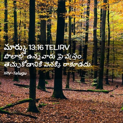 Picture 02 - మార్కు 13:16 TELIRV - పొలాల్లో ఉన్నవారు - Bible Verse Picture
