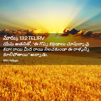 Picture 02 - మార్కు 13:2 TELIRV - యేసు అతనితో, “ఈ - Bible Verse Picture