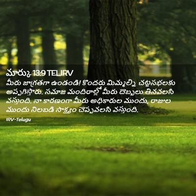 Picture 02 - మార్కు 13:9 TELIRV - మీరు జాగ్రతగా - Bible Verse Picture