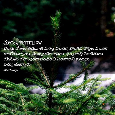Picture 02 - మార్కు 14:1 TELIRV - రెండు రోజుల - Bible Verse Picture