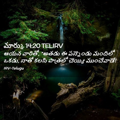 Picture 02 - మార్కు 14:20 TELIRV - ఆయన వారితో, “అతడు ఈ - Bible Verse Picture