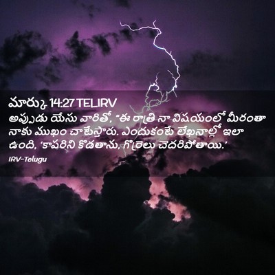 Picture 02 - మార్కు 14:27 TELIRV - అప్పుడు యేసు - Bible Verse Picture