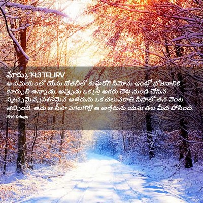 Picture 02 - మార్కు 14:3 TELIRV - ఆ సమయంలో యేసు - Bible Verse Picture