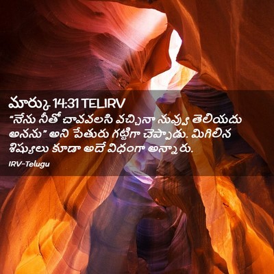 Picture 02 - మార్కు 14:31 TELIRV - “నేను నీతో - Bible Verse Picture
