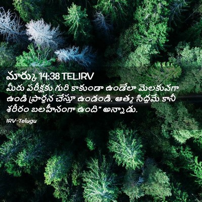 Picture 02 - మార్కు 14:38 TELIRV - మీరు పరీక్షకు - Bible Verse Picture