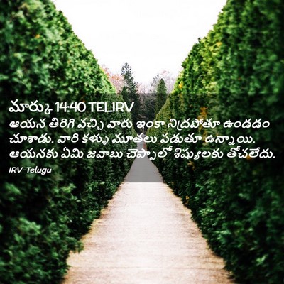 Picture 02 - మార్కు 14:40 TELIRV - ఆయన తిరిగి వచ్చి - Bible Verse Picture