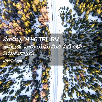 Picture 02 - మార్కు 14:46 TELIRV - అప్పుడు వారు యేసు - Bible Verse Picture