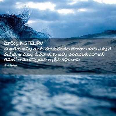 Picture 02 - మార్కు 14:5 TELIRV - ఈ అత్తరు అమ్మి - Bible Verse Picture