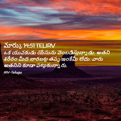 Picture 02 - మార్కు 14:51 TELIRV - ఒక యువకుడు యేసును - Bible Verse Picture
