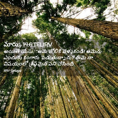 Picture 02 - మార్కు 14:6 TELIRV - అయితే యేసు, “ఆమె - Bible Verse Picture