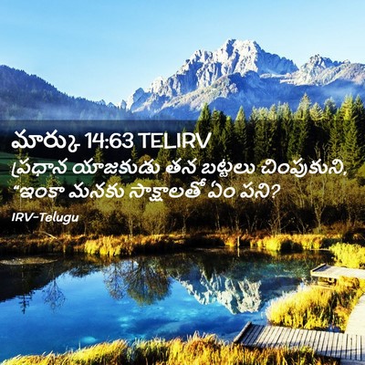 Picture 02 - మార్కు 14:63 TELIRV - ప్రధాన యాజకుడు తన - Bible Verse Picture