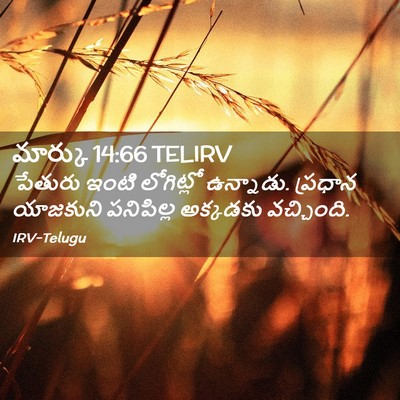 Picture 02 - మార్కు 14:66 TELIRV - పేతురు ఇంటి - Bible Verse Picture