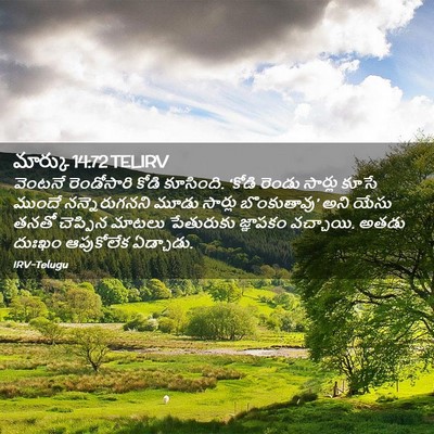 Picture 02 - మార్కు 14:72 TELIRV - వెంటనే రెండోసారి - Bible Verse Picture