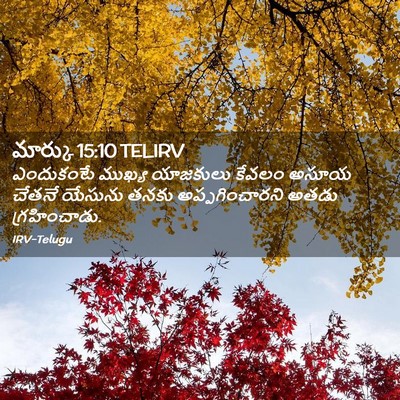 Picture 02 - మార్కు 15:10 TELIRV - ఎందుకంటే ముఖ్య - Bible Verse Picture