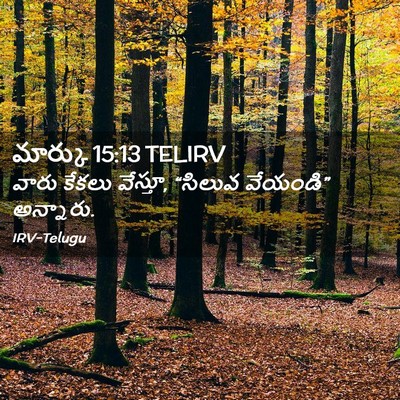Picture 02 - మార్కు 15:13 TELIRV - వారు కేకలు వేస్తూ, - Bible Verse Picture