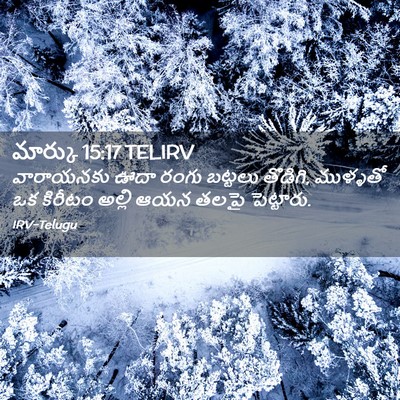 Picture 02 - మార్కు 15:17 TELIRV - వారాయనకు ఊదా రంగు - Bible Verse Picture