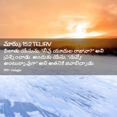 Picture 02 - మార్కు 15:2 TELIRV - పిలాతు యేసును, - Bible Verse Picture