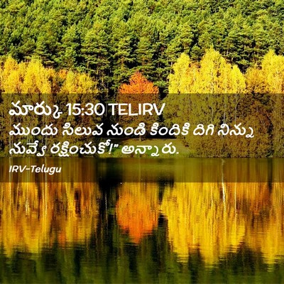 Picture 02 - మార్కు 15:30 TELIRV - ముందు సిలువ నుండి - Bible Verse Picture