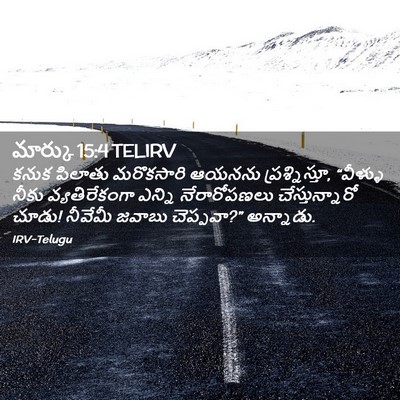 Picture 02 - మార్కు 15:4 TELIRV - కనుక పిలాతు - Bible Verse Picture
