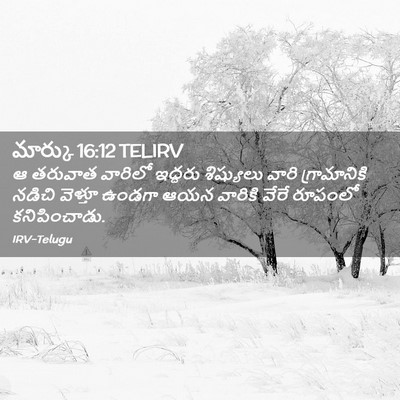 Picture 02 - మార్కు 16:12 TELIRV - ఆ తరువాత వారిలో - Bible Verse Picture