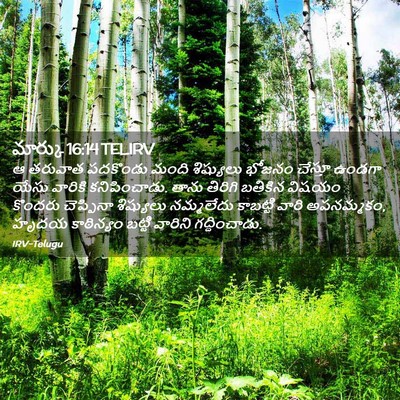 Picture 02 - మార్కు 16:14 TELIRV - ఆ తరువాత పదకొండు - Bible Verse Picture