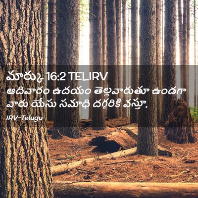 Picture 02 - మార్కు 16:2 TELIRV - ఆదివారం ఉదయం - Bible Verse Picture