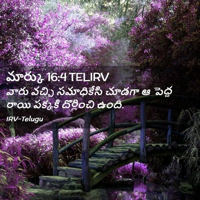 Picture 02 - మార్కు 16:4 TELIRV - వారు వచ్చి - Bible Verse Picture