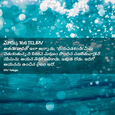 Picture 02 - మార్కు 16:6 TELIRV - అతడు వారితో ఇలా - Bible Verse Picture