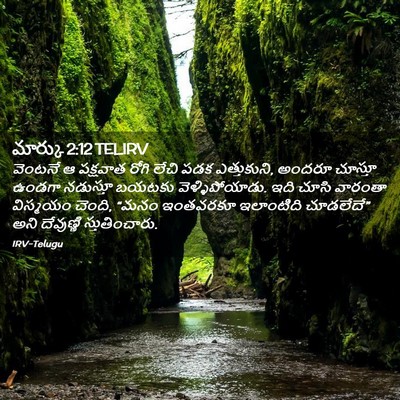 Picture 02 - మార్కు 2:12 TELIRV - వెంటనే ఆ పక్షవాత - Bible Verse Picture