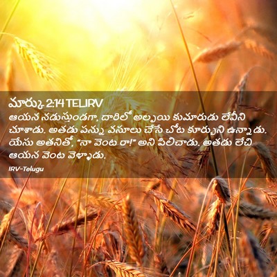 Picture 02 - మార్కు 2:14 TELIRV - ఆయన నడుస్తుండగా, - Bible Verse Picture