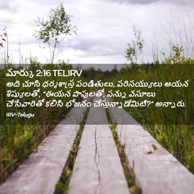 Picture 02 - మార్కు 2:16 TELIRV - అది చూసి - Bible Verse Picture