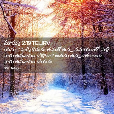 Picture 02 - మార్కు 2:19 TELIRV - యేసు, - Bible Verse Picture