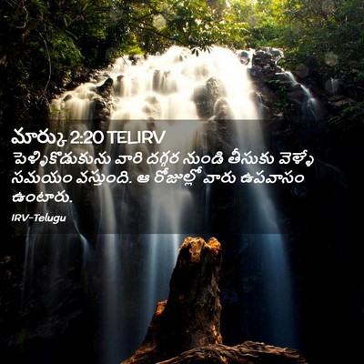 Picture 02 - మార్కు 2:20 TELIRV - పెళ్ళికొడుకును - Bible Verse Picture