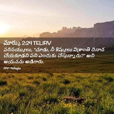Picture 02 - మార్కు 2:24 TELIRV - పరిసయ్యులు, “చూడు, - Bible Verse Picture