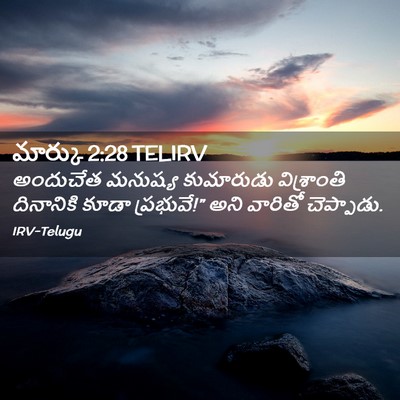 Picture 02 - మార్కు 2:28 TELIRV - అందుచేత మనుష్య - Bible Verse Picture