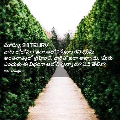 Picture 02 - మార్కు 2:8 TELIRV - వారు లోలోపల ఇలా - Bible Verse Picture