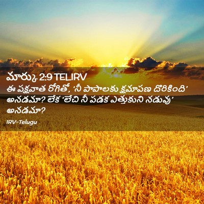 Picture 02 - మార్కు 2:9 TELIRV - ఈ పక్షవాత రోగితో, - Bible Verse Picture