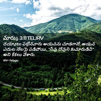 Picture 02 - మార్కు 3:11 TELIRV - దయ్యాలు - Bible Verse Picture
