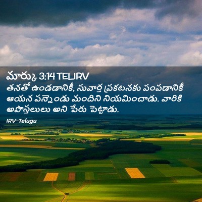 Picture 02 - మార్కు 3:14 TELIRV - తనతో ఉండడానికీ, - Bible Verse Picture