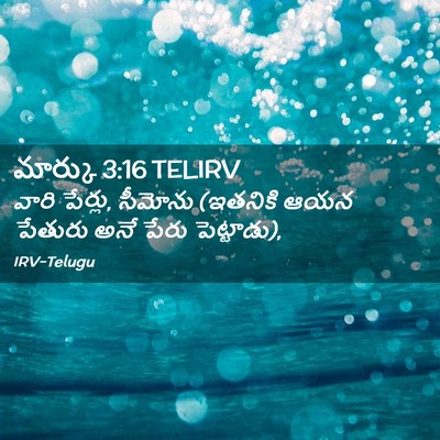 Picture 02 - మార్కు 3:16 TELIRV - వారి పేర్లు, - Bible Verse Picture