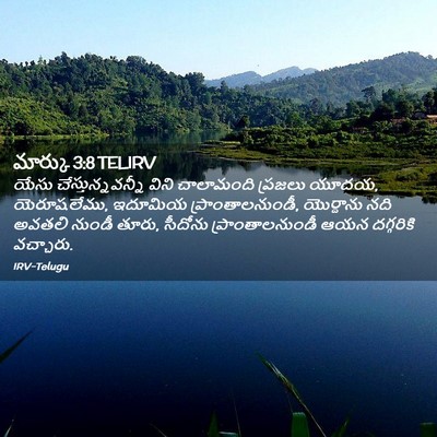 Picture 02 - మార్కు 3:8 TELIRV - యేసు - Bible Verse Picture
