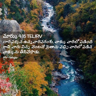 Picture 02 - మార్కు 4:15 TELIRV - దారి పక్కన - Bible Verse Picture