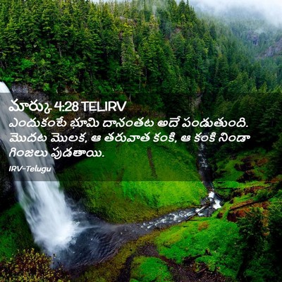 Picture 02 - మార్కు 4:28 TELIRV - ఎందుకంటే భూమి - Bible Verse Picture