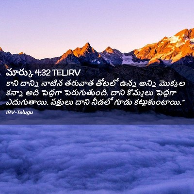 Picture 02 - మార్కు 4:32 TELIRV - కాని దాన్ని నాటిన - Bible Verse Picture